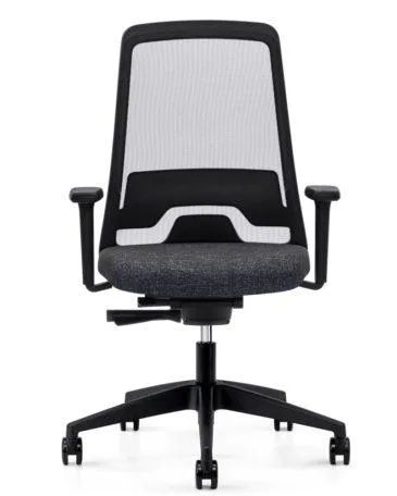 Interstuhl EVERYis1 EV251 -työtuoli