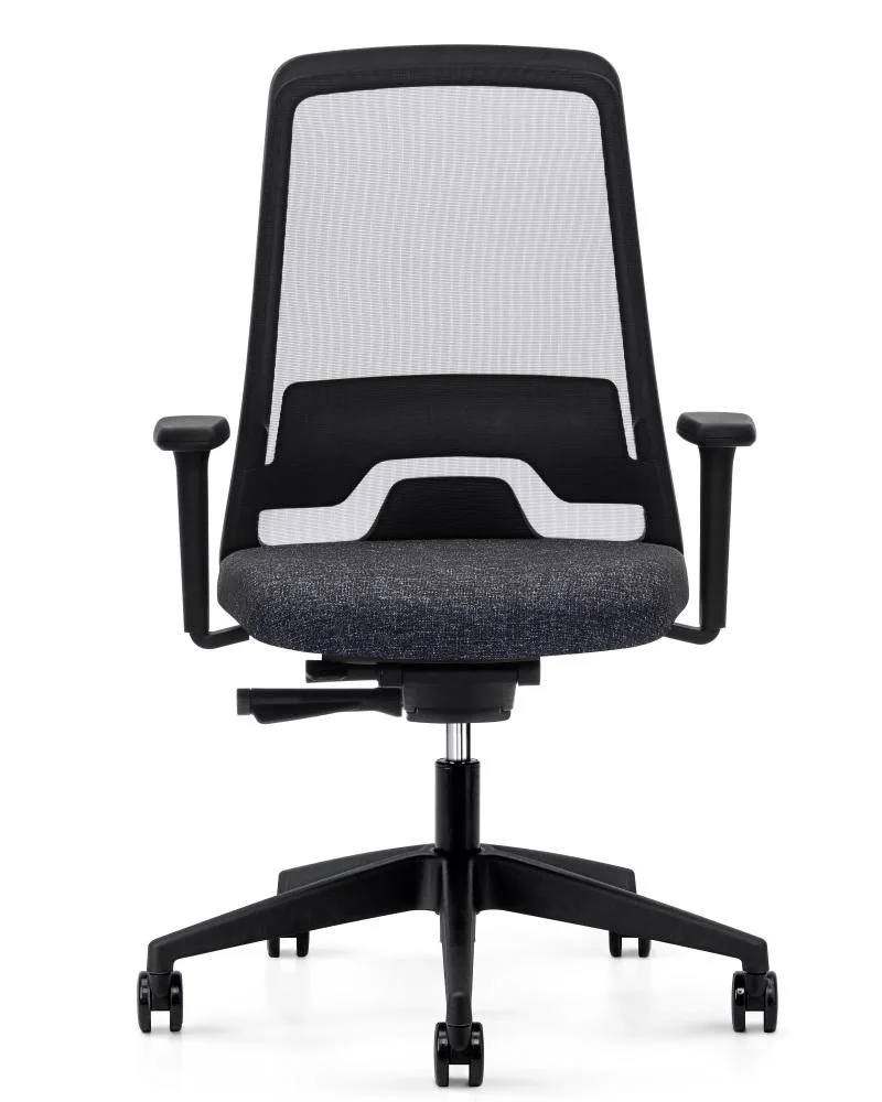 Interstuhl EVERYis1 EV251 office chair
