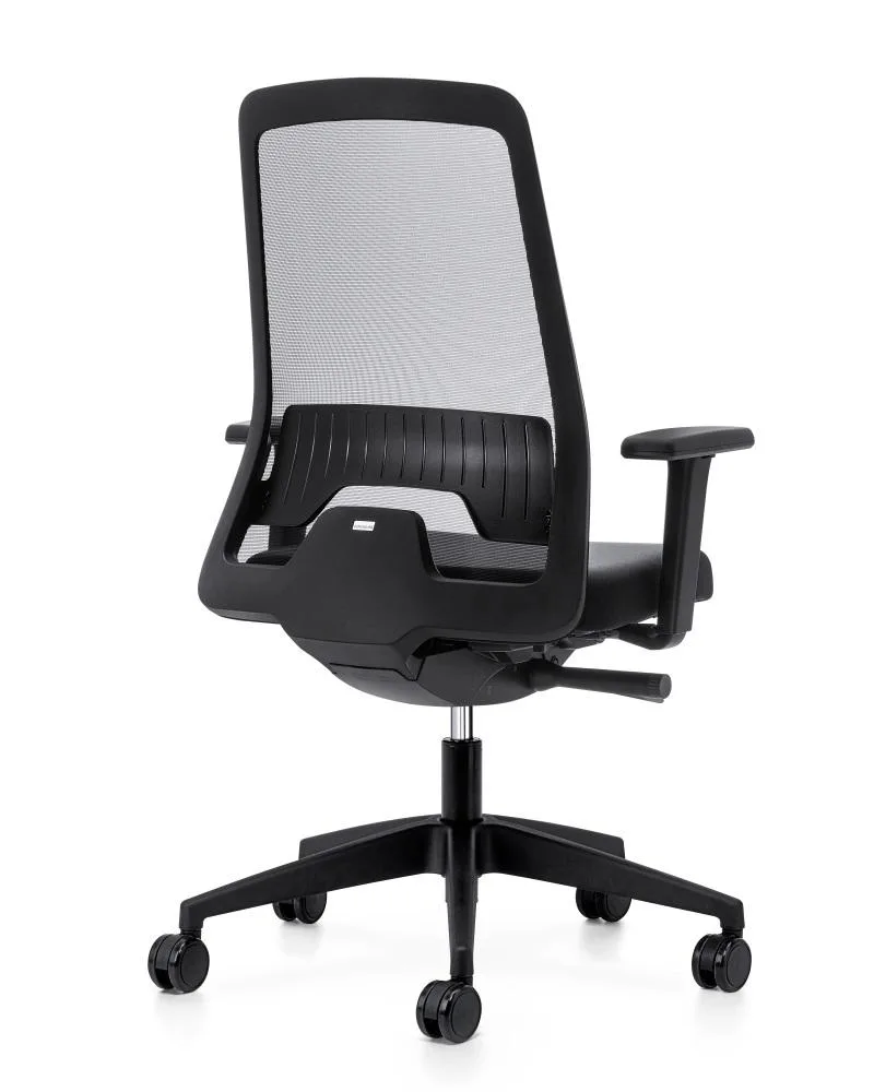 Interstuhl EVERYis1 EV251 office chair - Image 2