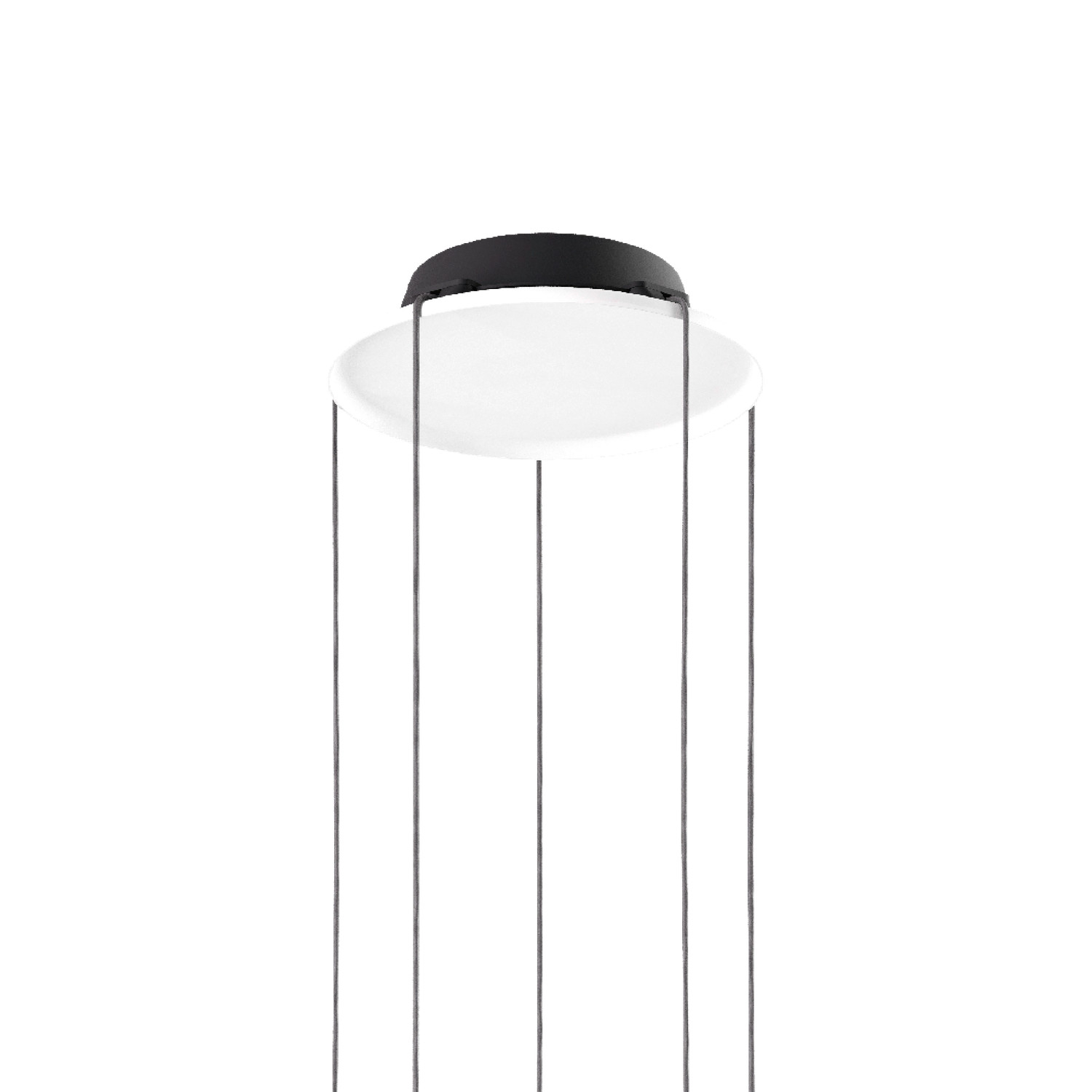 Lodes ROUND canopy