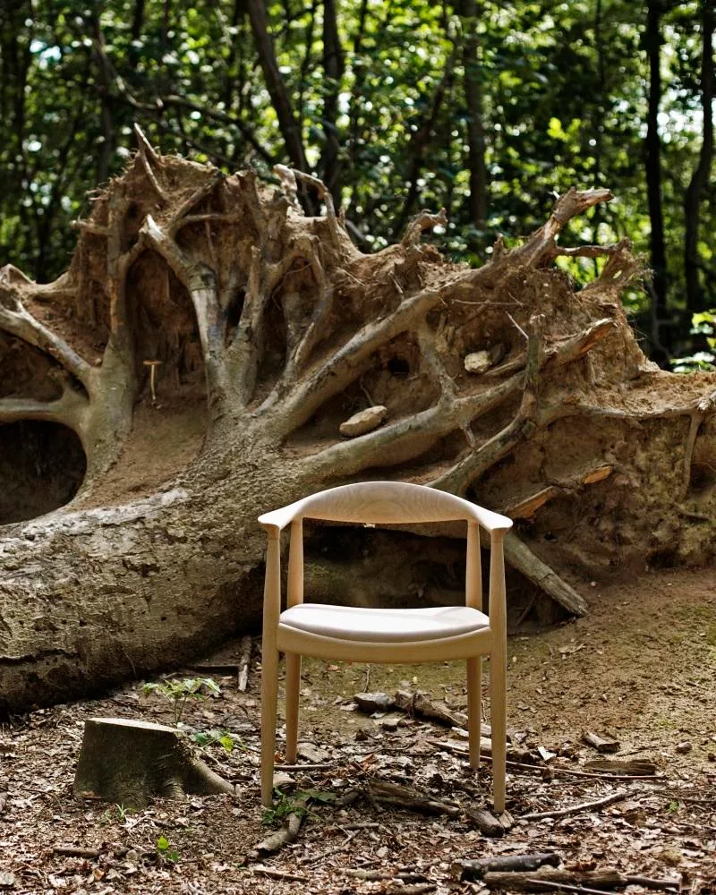 PP Møbler PP503 -tuoli, öljytty tammi/vaalea luonnonnahka - Image 3