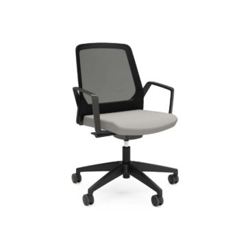 Interstuhl BUDDYis3 270B office chair