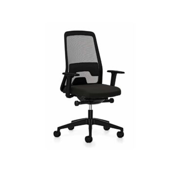 Interstuhl EVERYis1 EV211 office chair