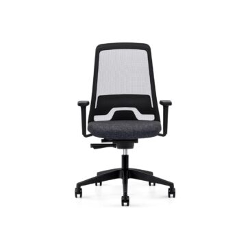 Interstuhl EVERYis1 EV251 office chair