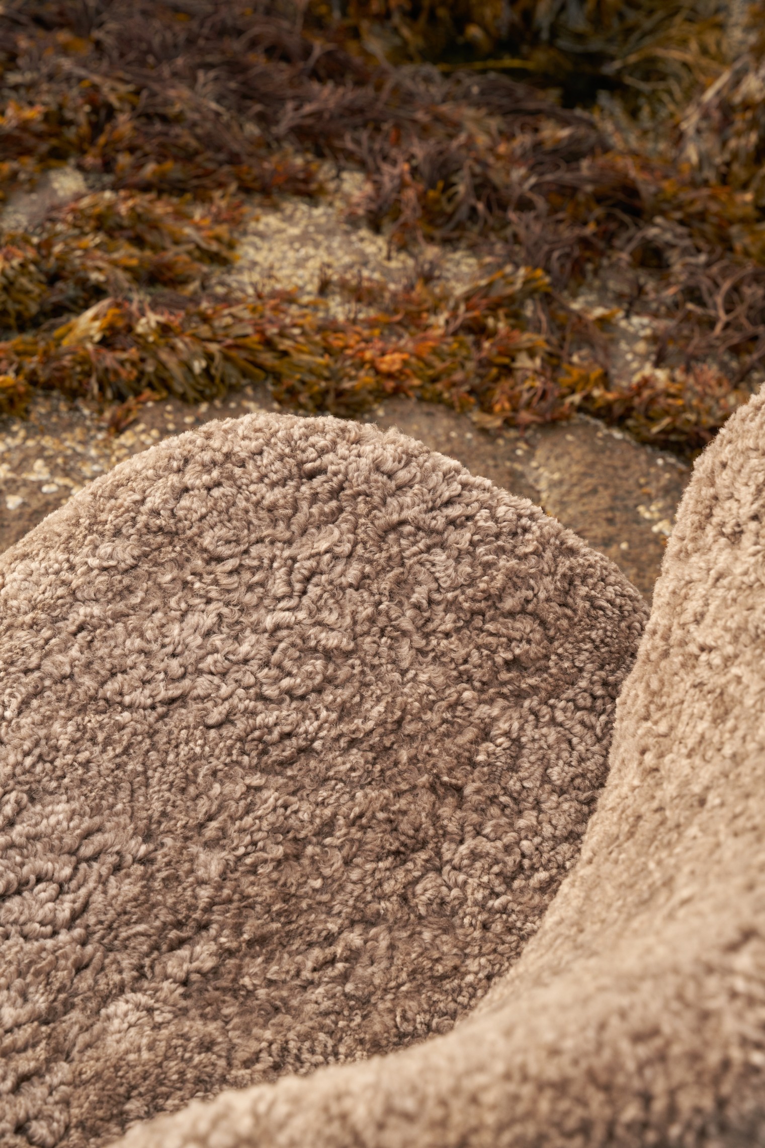 Vipp 469 LODGE lounge chair - Image 3